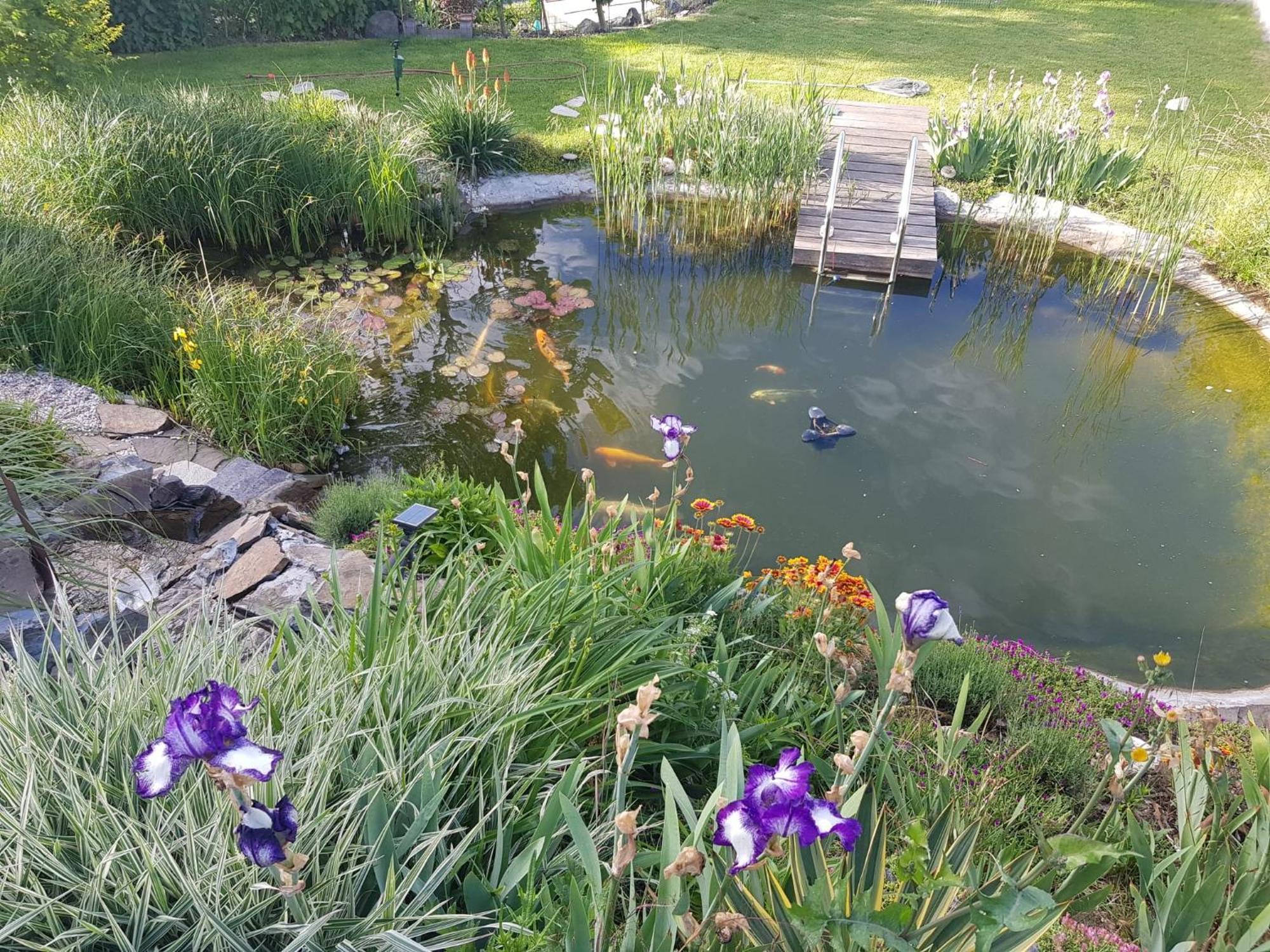 Wohlfuehlen Am Gartenteich Oberzissen Ngoại thất bức ảnh